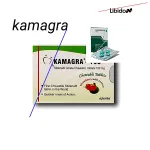 Kamagra 100mg oral jelly prix